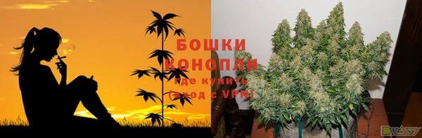сатива Валуйки