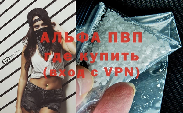 сатива Валуйки