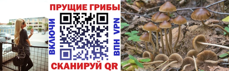 где купить наркотик  Жигулёвск  Галлюциногенные грибы MAGIC MUSHROOMS 